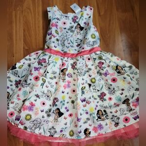 Disney  Princess Animator Dress Size 5/6 Multi Color